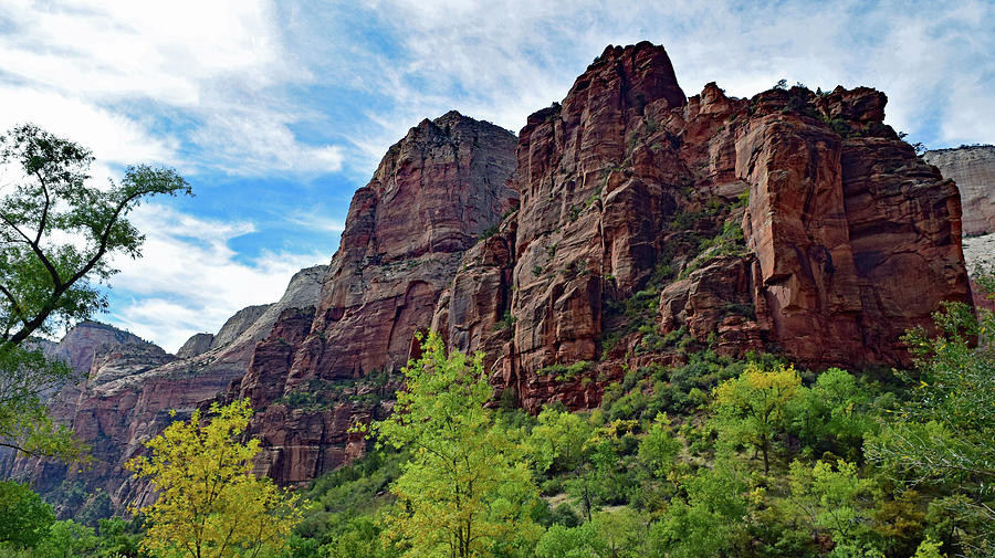 Zion No. 67-1 Photograph by Sandy Taylor