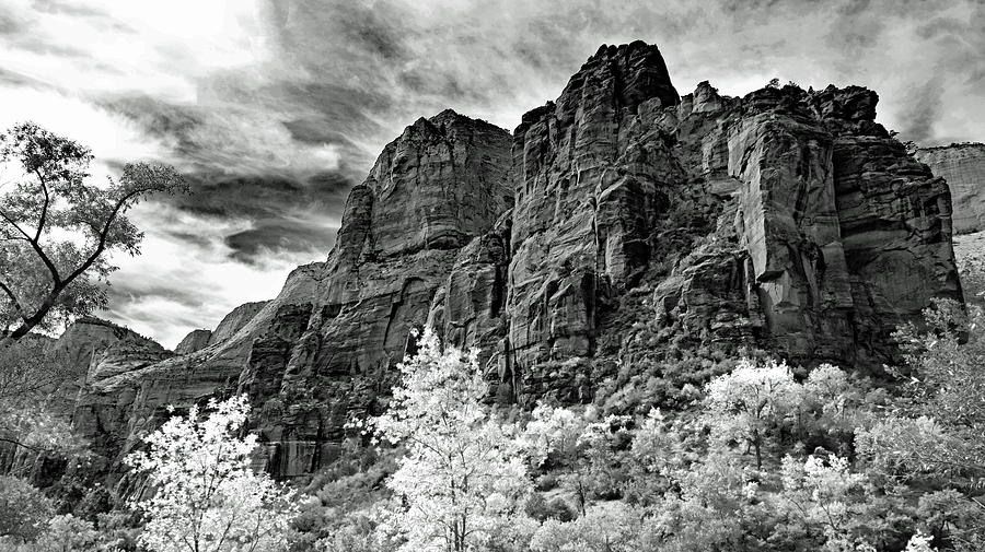 Zion No. 67-2 Photograph by Sandy Taylor