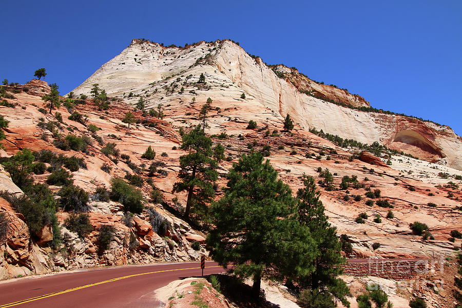 Zion NP Red Road Photograph by Christiane Schulze Art And Photography