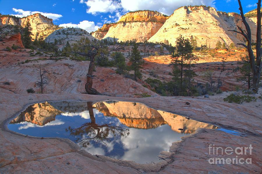 Zion Park Reflections Photograph by Adam Jewell