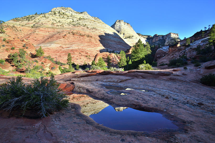 Zion Reflection Photograph by Ray Mathis