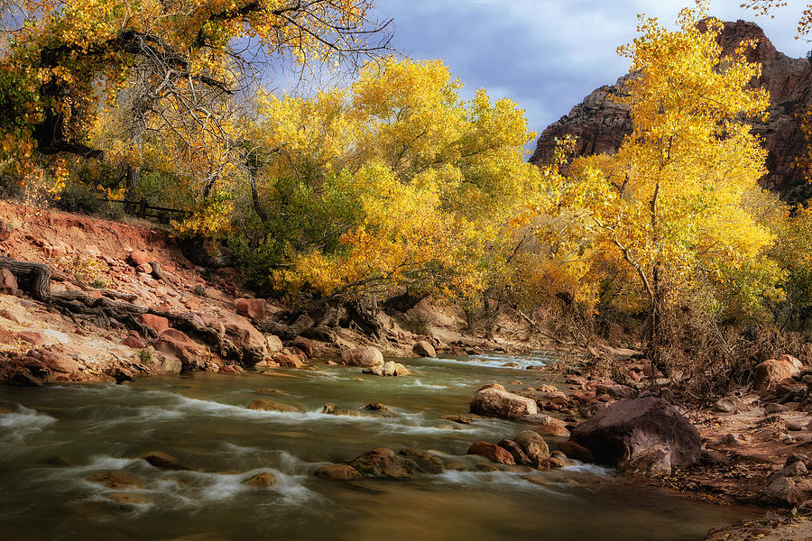 Zion National Park Photograph - Zion River at Autumn by Andrew Soundarajan