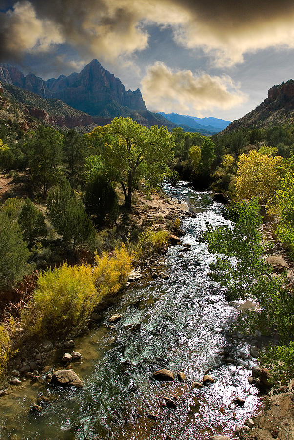 Zion River Photograph by Harry Spitz