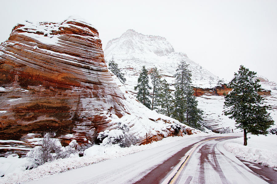 Zion Road in Winter Photograph by Daniel Woodrum