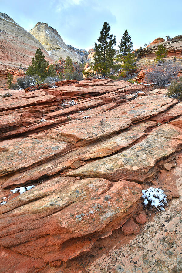 Zion Sandstone Slabs Photograph by Ray Mathis