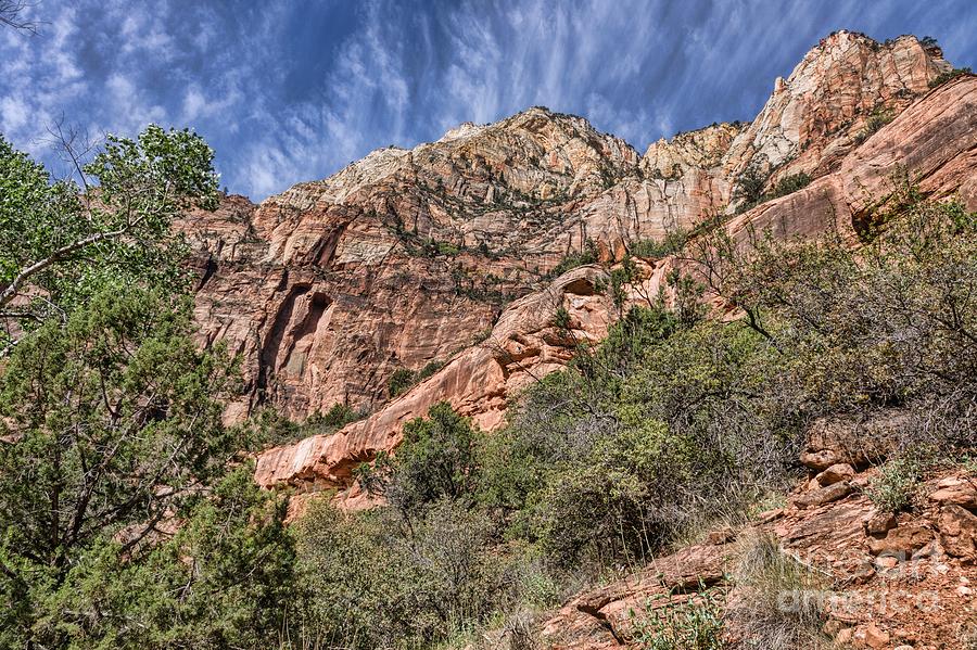 Zion Skies Photograph by Peggy Hughes