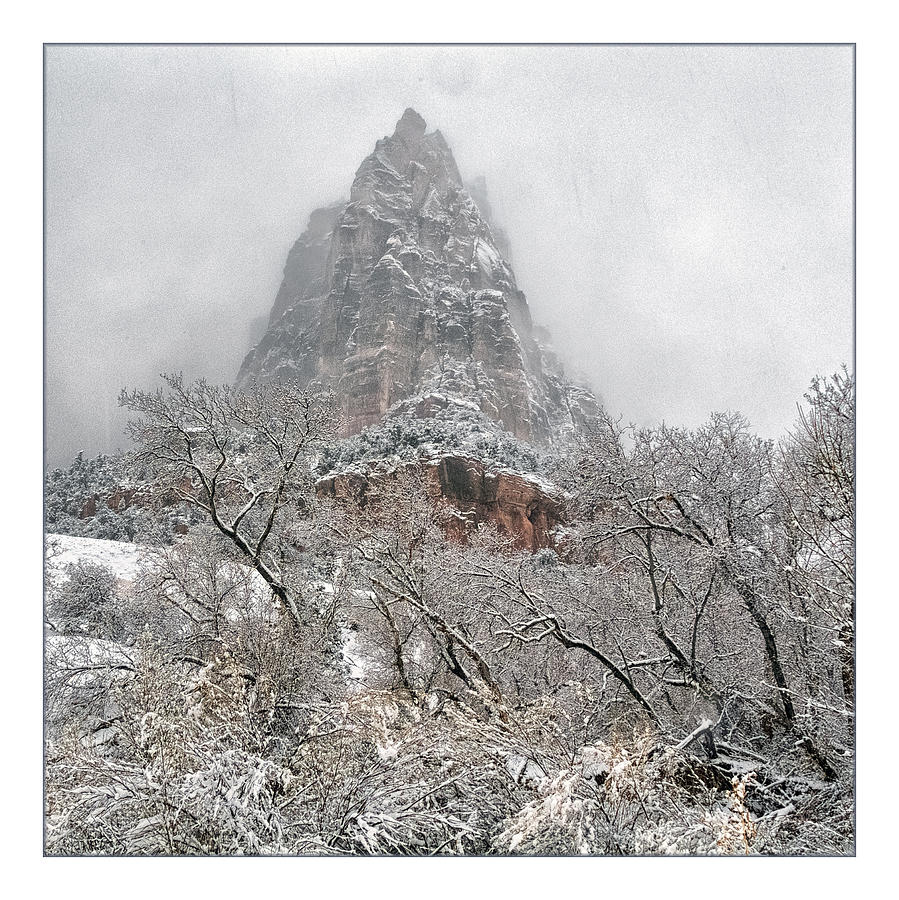 Zion Snowstorm Photograph by Robert Fawcett