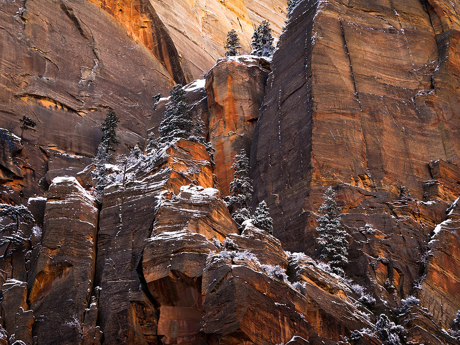 Zion Staircase  Photograph by Dustin LeFevre