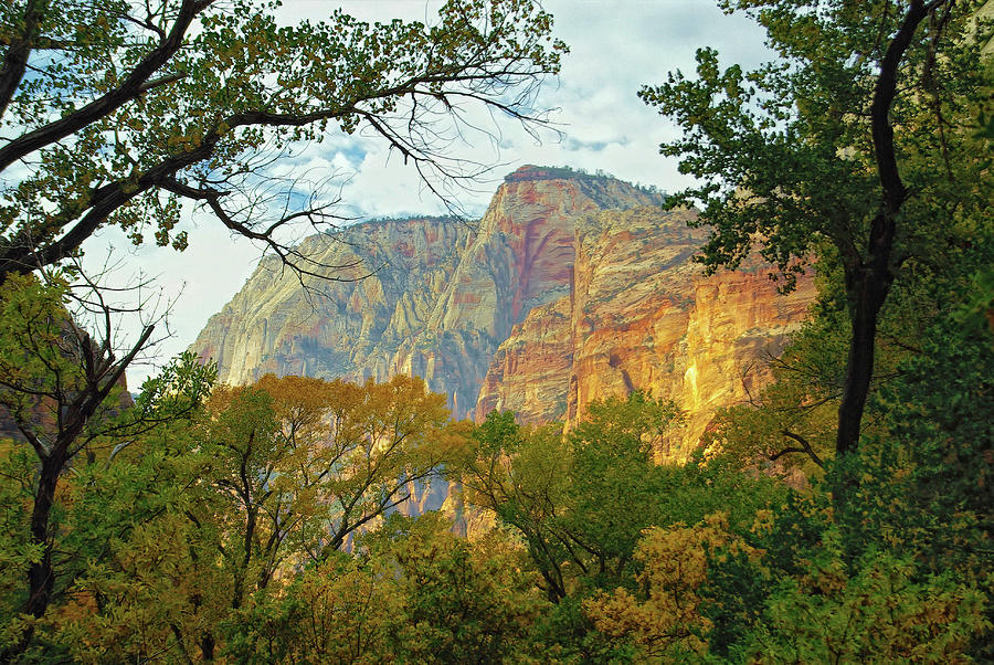 Zion Photograph by Stephen Campbell