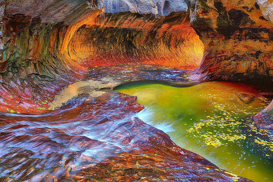 Zion National Park Photograph - Zion Subway by Greg Norrell