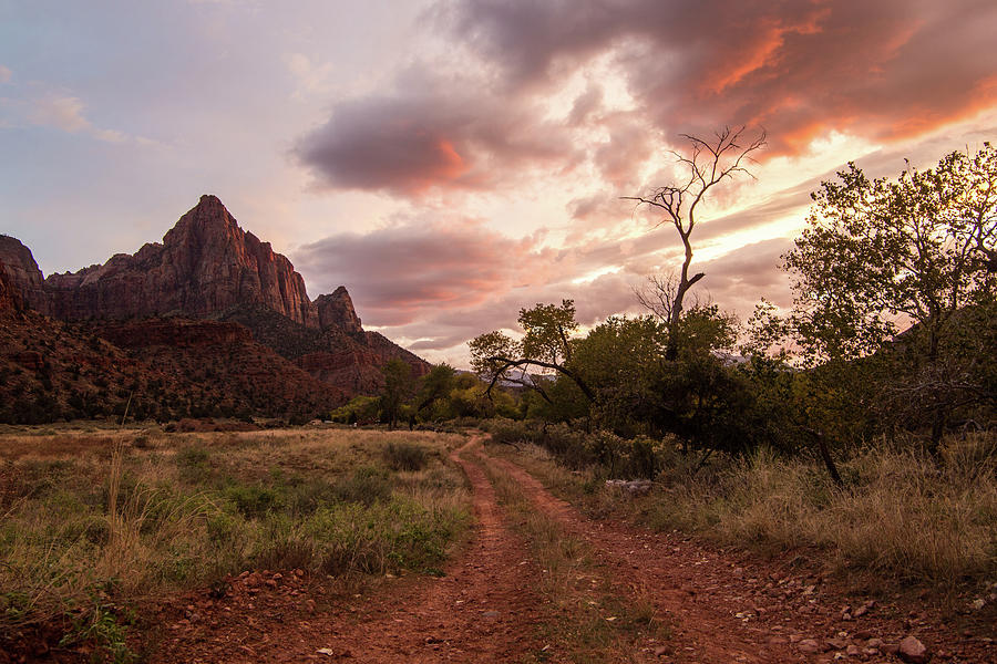 Zion Sunset Photograph by Wesley Aston