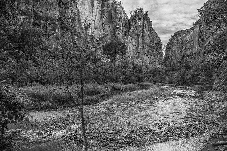 Zion Valley and River Black and White Photograph by John McGraw