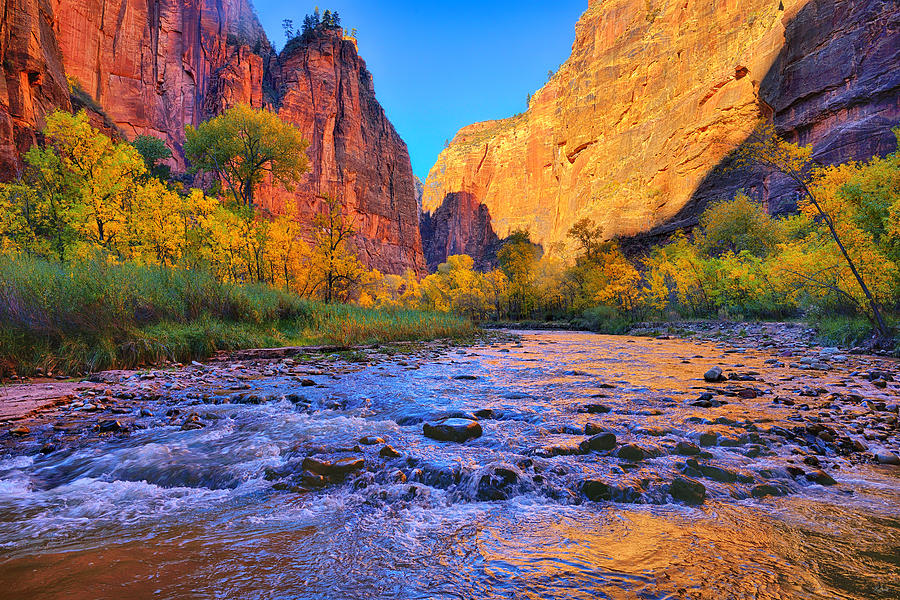Zion Virgin River Photograph by Greg Norrell