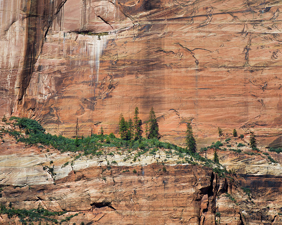 Zion National Park Photograph - Zion Wall by Joseph Smith