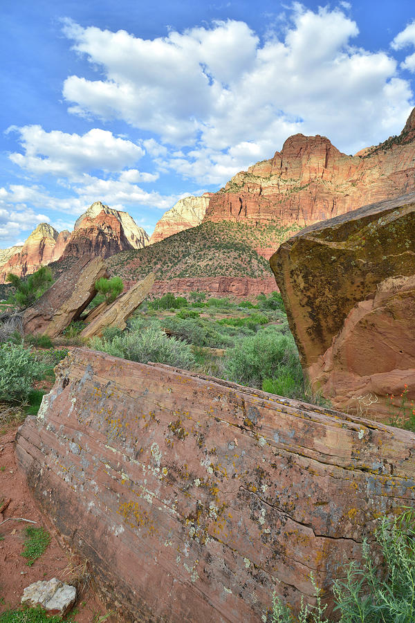 Zions Rocks Photograph by Ray Mathis