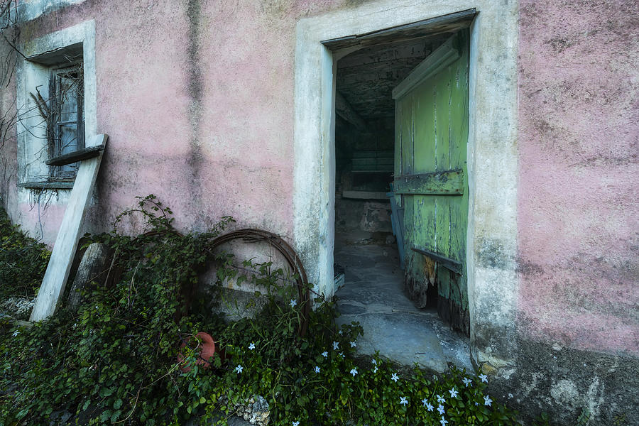 Zoagli Old Abandoned Door With Flowers Photograph by Enrico Pelos