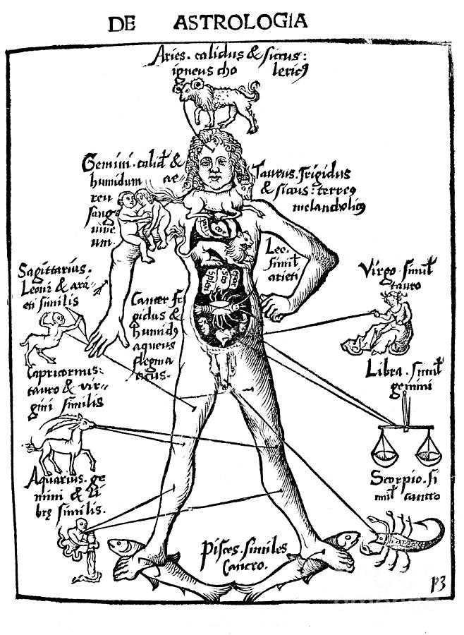 Zodiac Man, Medical Astrology Photograph by Wellcome Images