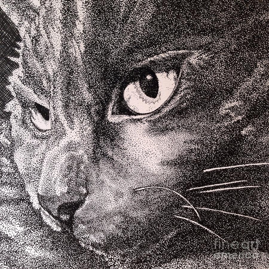 Kitty, Kitty Drawing by Jennefer Chaudhry