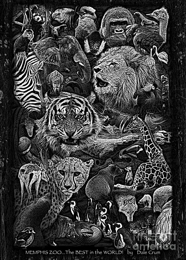 Zoo Collection 1 L Wd Bw Photograph by Dale Crum