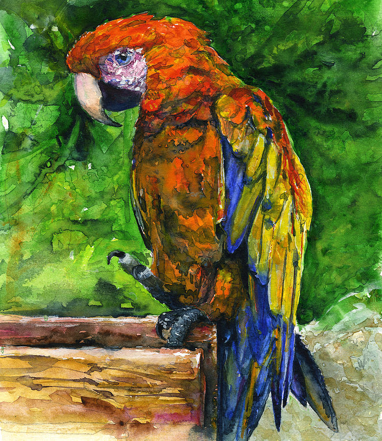 Zoo in St. Maarten Painting by John D Benson
