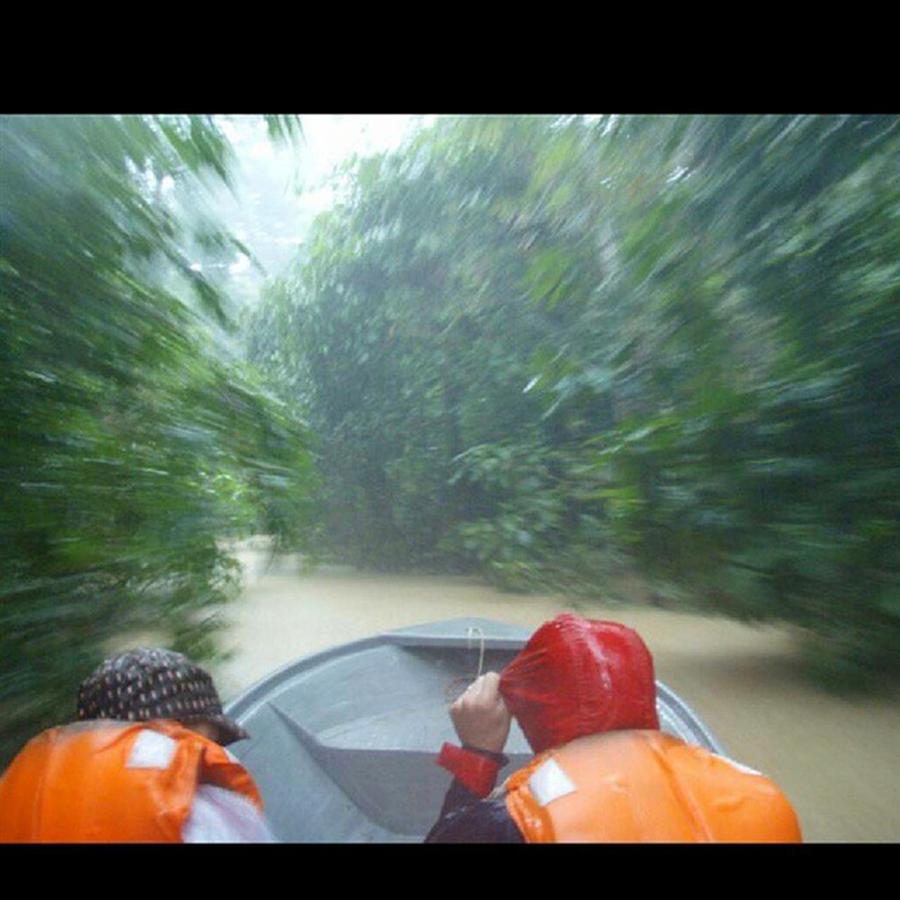 Travel Photograph - Zooming Through A Flooded Forest On by Dante Harker