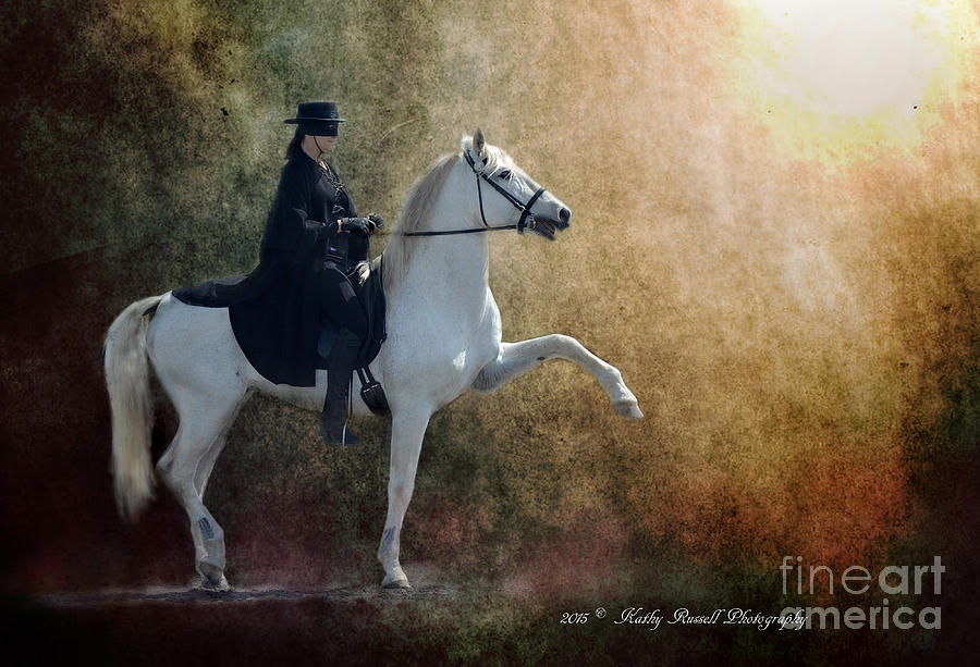 Zorro Photograph by Kathy Russell