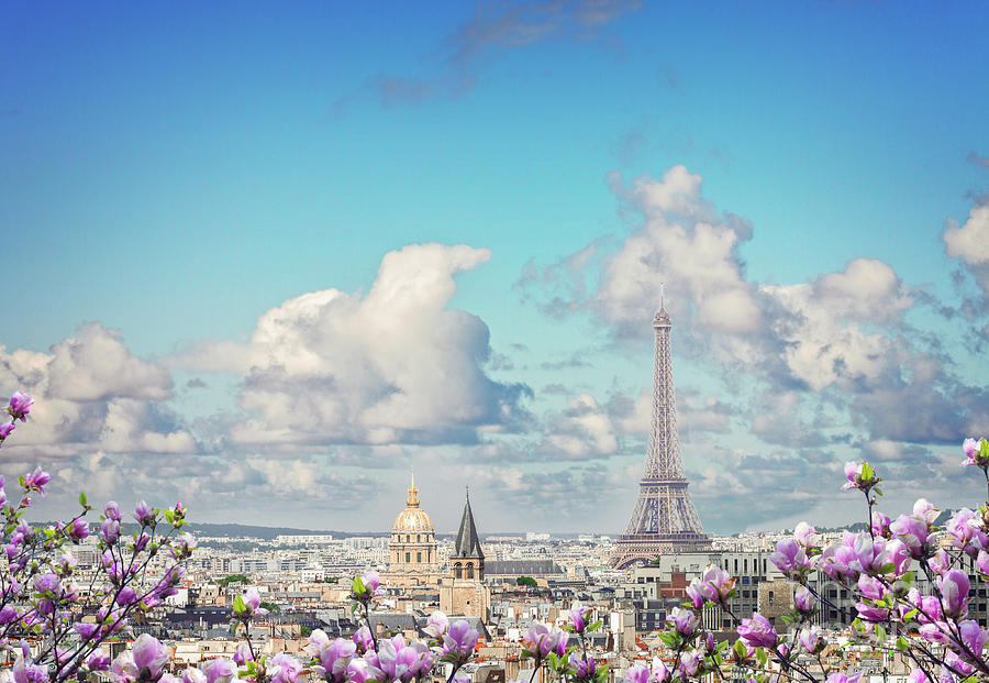 Spring Day in Paris Photograph by Anastasy Yarmolovich