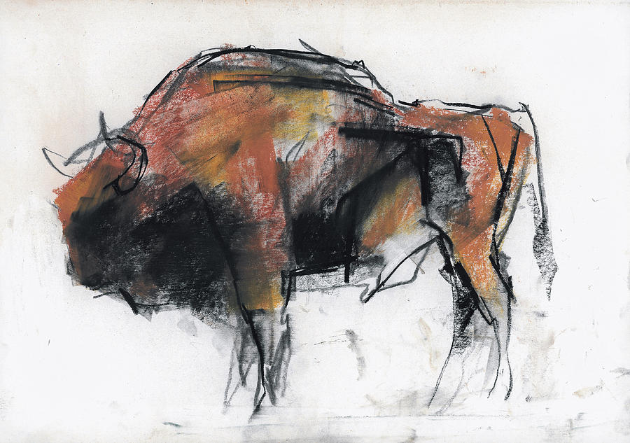 Bison Drawing - Zubre  Bialowieza by Mark Adlington