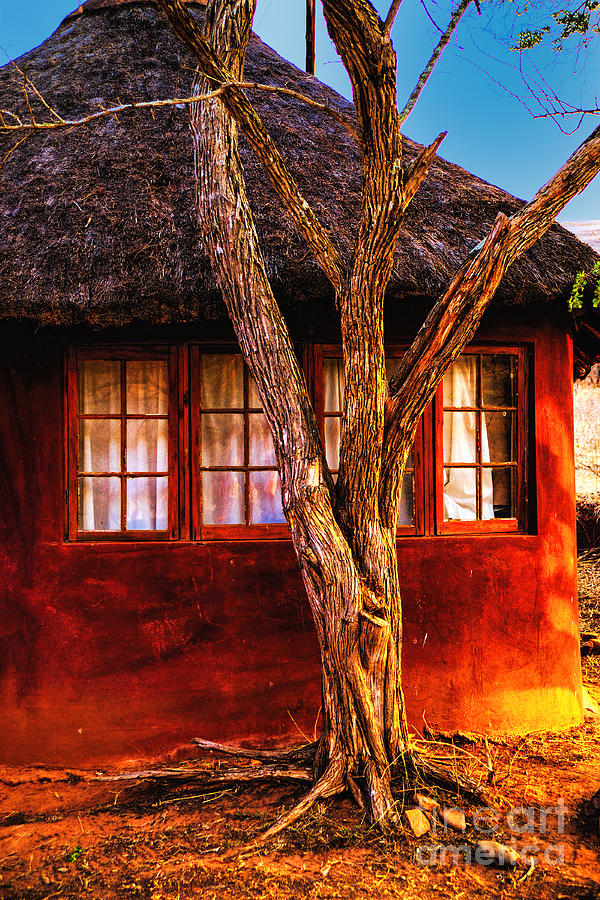 Zulu Hut Photograph by Rick Bragan