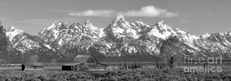 Mormon Row Moulton Barn Black And White Panorama Photograph by Adam Jewell
