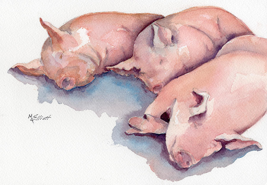 Pig Painting - Zzzzzzzz by Marsha Elliott