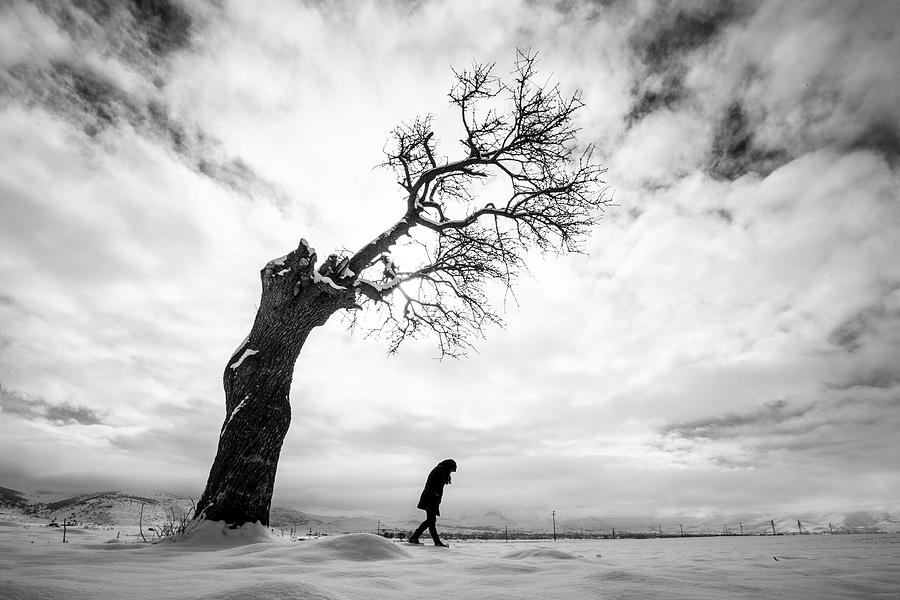 Winter Photograph - ... ::: Yaln?z ::: ... by Nazim Tetik