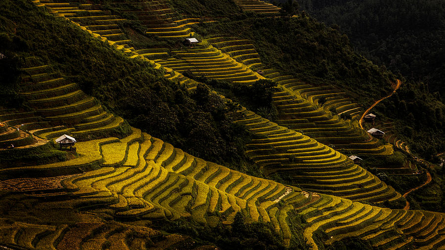 Landscape Photograph -  by Dang Thanh Son