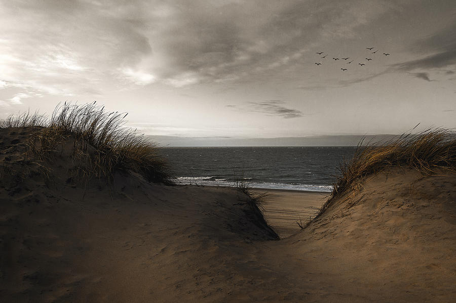 - Dunes II - Photograph by Wim Schuurmans