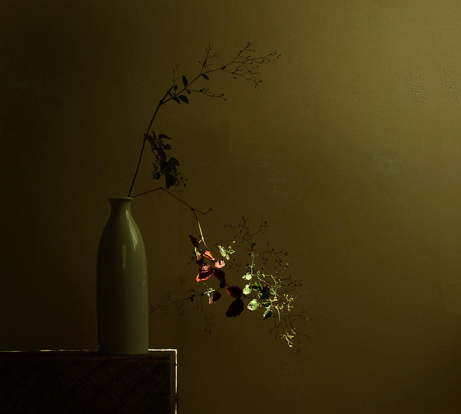 Still Life Photograph -  by Margaret Halaby
