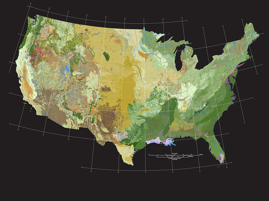  Us Terrestrial Ecosystems, Map Photograph by Science Source