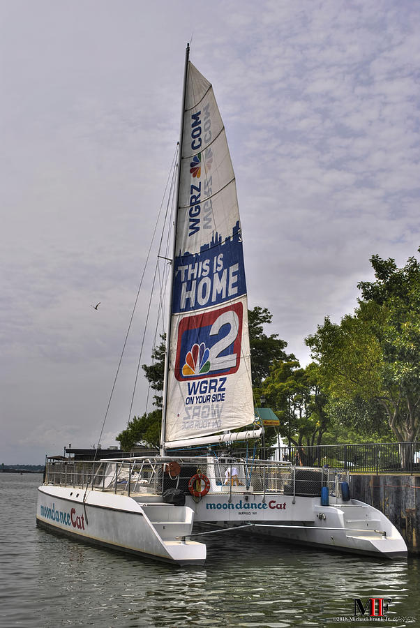 002 Moondance Cat 31jul18 Photograph By Michael Frank Jr