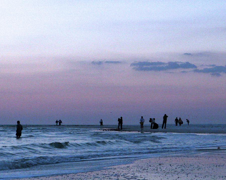 011 - Florida Silhouettes Photograph by David Ralph Johnson