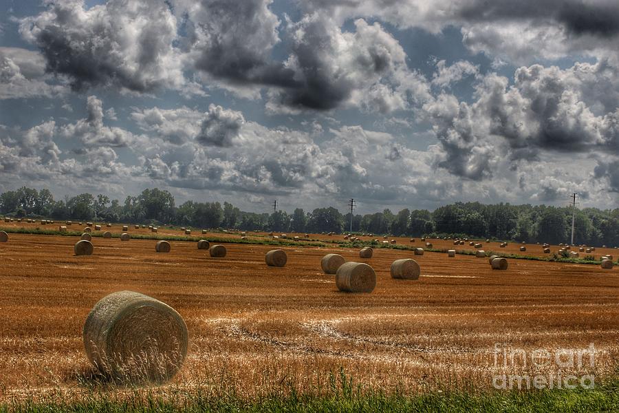 2012 - Haybale Heaven Photograph by Sheryl L Sutter