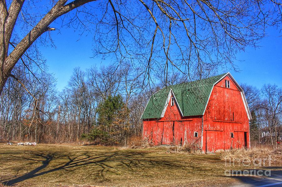 0285 - Hickory Ridge Red Photograph by Sheryl L Sutter