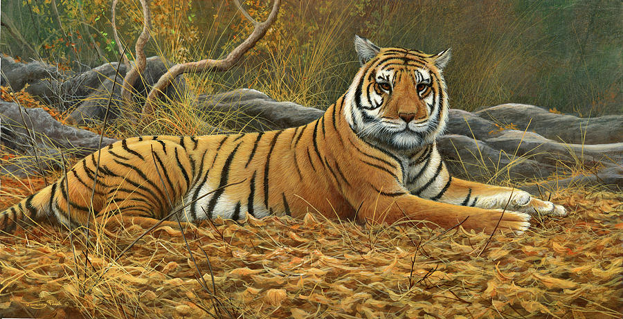 Animal Painting - 0868 Bengal Tiger by Jeremy Paul