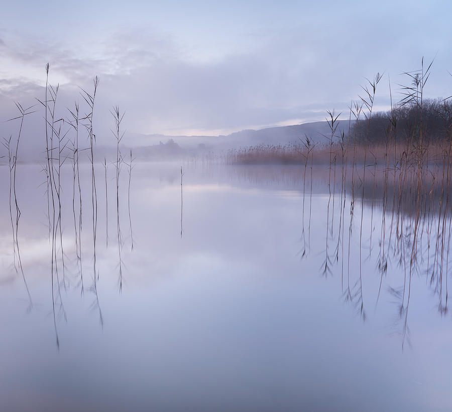 Lake Photograph -  by David Ahern