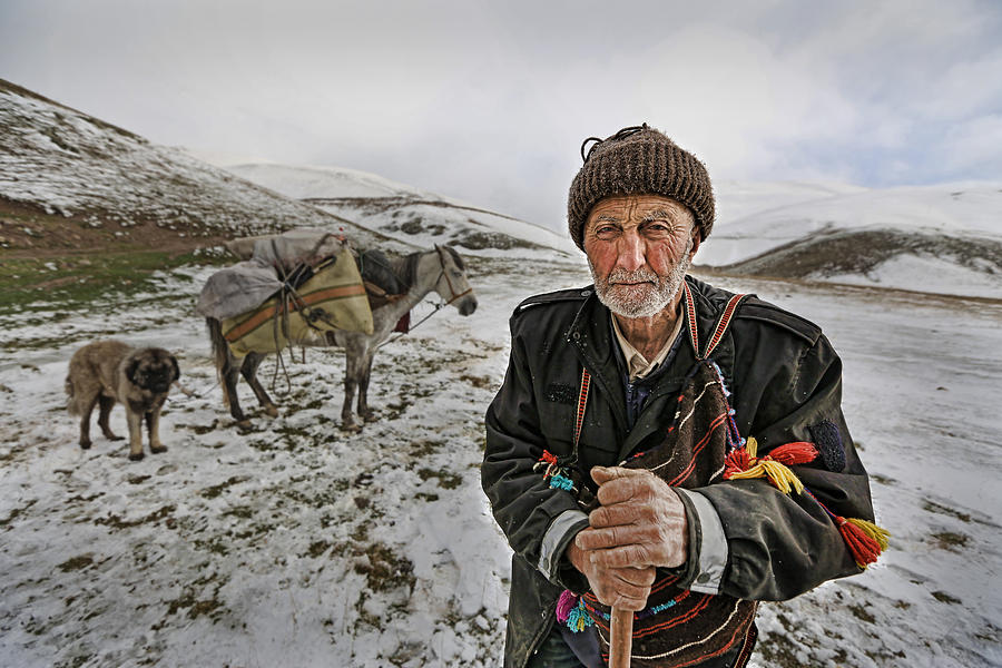 Winter Photograph -  #1 by Mustafa Zengin
