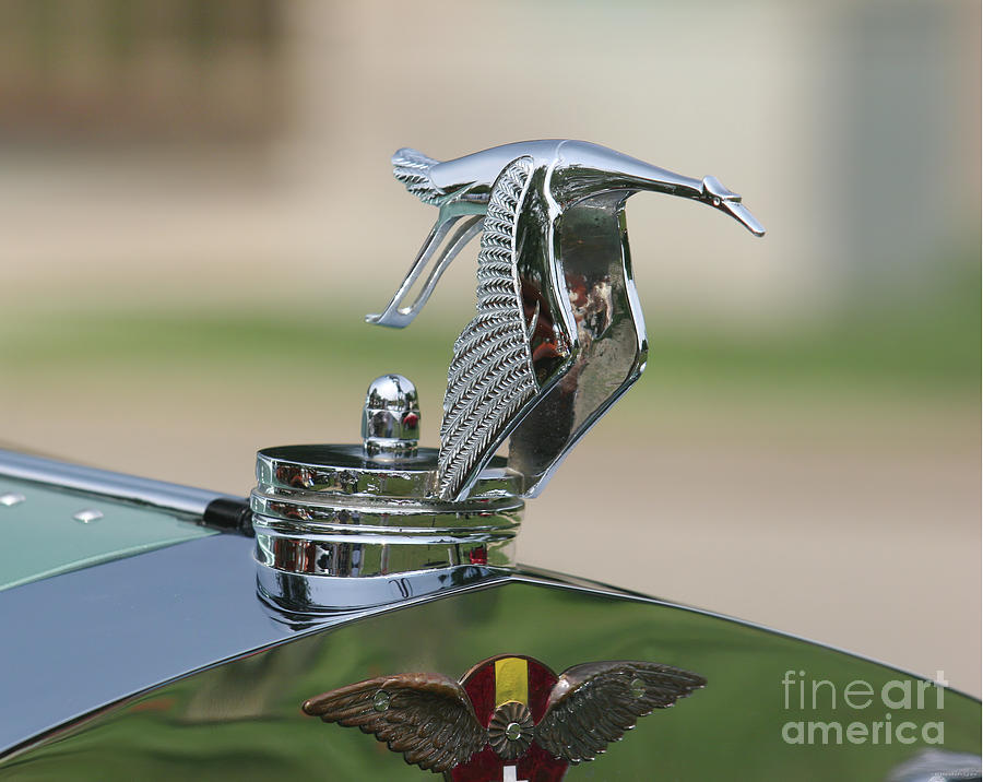 1930s Hispano Suiza Flying Stork Hood Ornament #2 Photograph by Lucie Collins