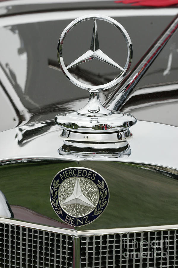 1937 Mercedes Benz 540k Radiator Ornament #2 Photograph by Lucie Collins