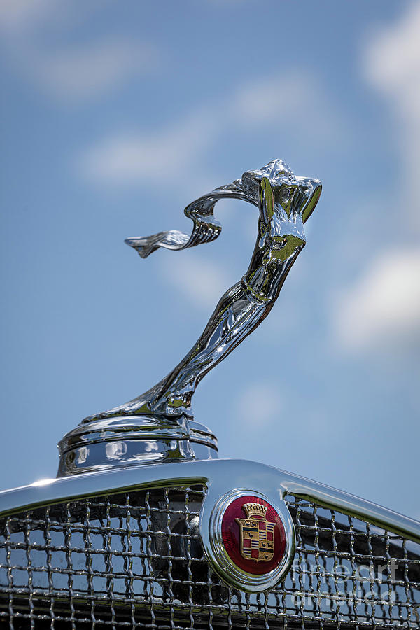 1931 Cadillac Hood Ornament Photograph by Dennis Hedberg