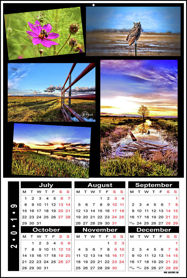 19 Calendar Photograph By Larry J