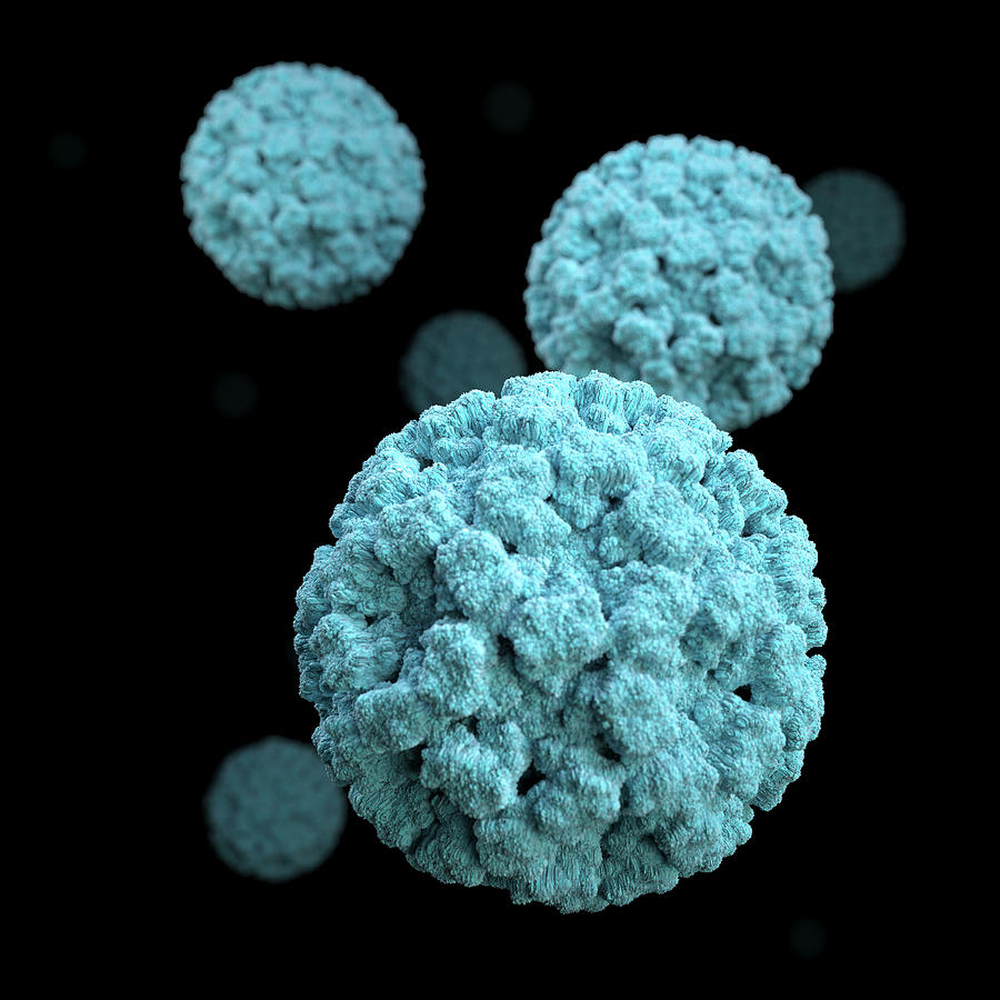 3d Illustration Of Norovirus Virions #1 Photograph by Stocktrek Images