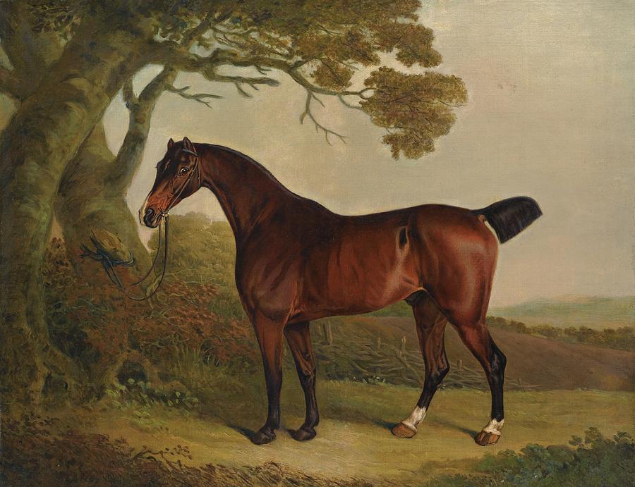 A Bay Horse Tethered To A Tree In A Landscape Painting by Thomas Weaver ...