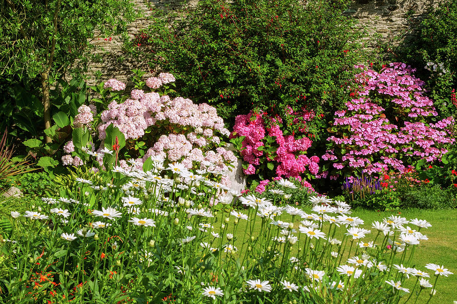 A beautiful summer walled garden border flowerbed #1 Photograph by Seeables Visual Arts